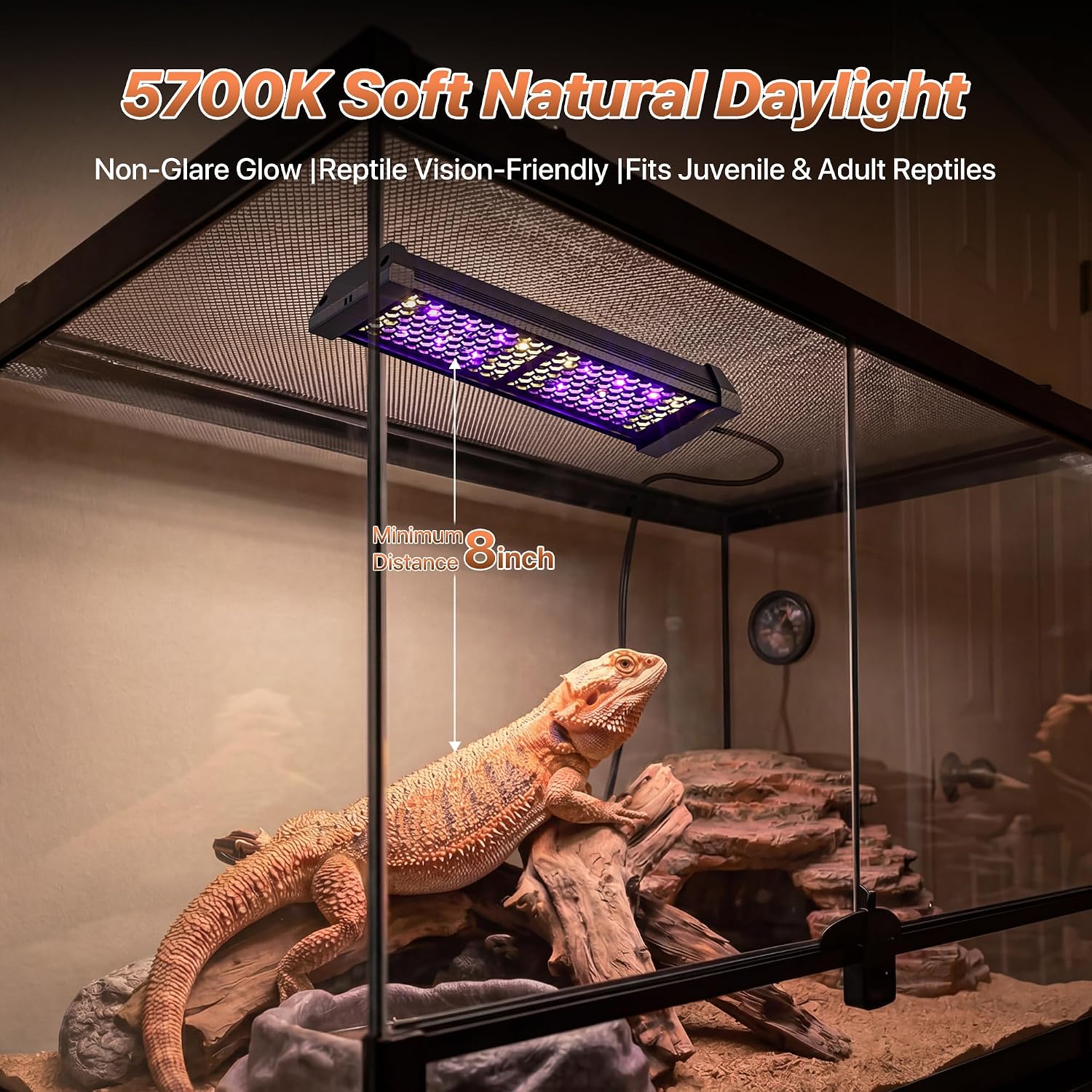 LED UVB Reptile Light with Timer & Dimmer (8.5inch) | 8W Full Spectrum UVA UVB Lamp with 3 Lighting Modes,5-Level Dimmable,4/8/12H Cycle Timer,for Bearded Dragon,Gecko,Tortoise thumbnail 4
