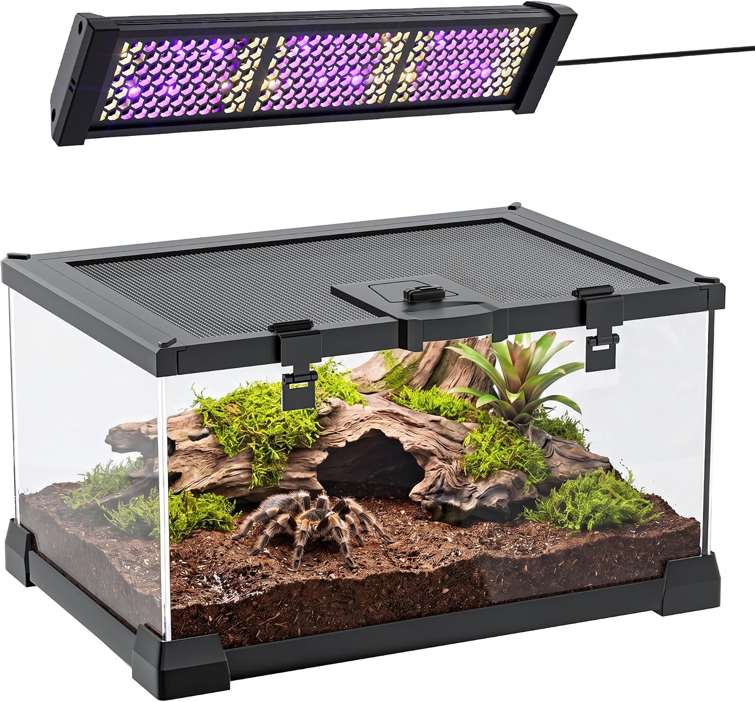 2.5 Gallon Fully Assembled Glas Reptile Enclosure with 8W Dimming LED UVA UVB Reptile Light thumbnail 9