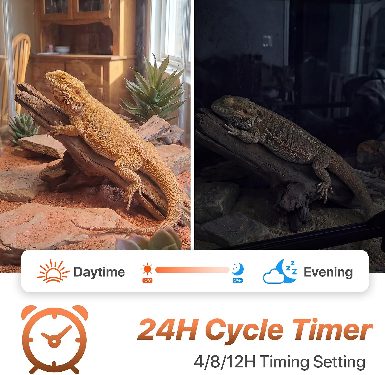 LED UVB Reptile Light with Timer & Dimmer (8.5inch) | 8W Full Spectrum UVA UVB Lamp with 3 Lighting Modes,5-Level Dimmable,4/8/12H Cycle Timer,for Bearded Dragon,Gecko,Tortoise thumbnail 6