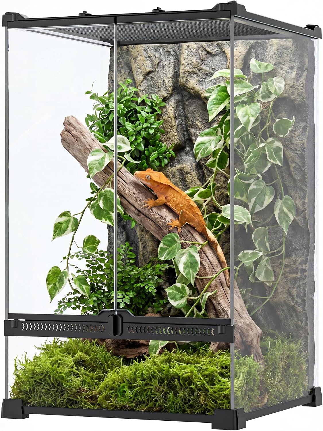 11 Gallon Fully Assembled Glass Reptile Enclosure,12"x 12" x 18" | Front Opening Tall Reptile Terrarium Tank for Crested Geckos, Tree Frogs & Other Arboreal Reptiles and Amphibians