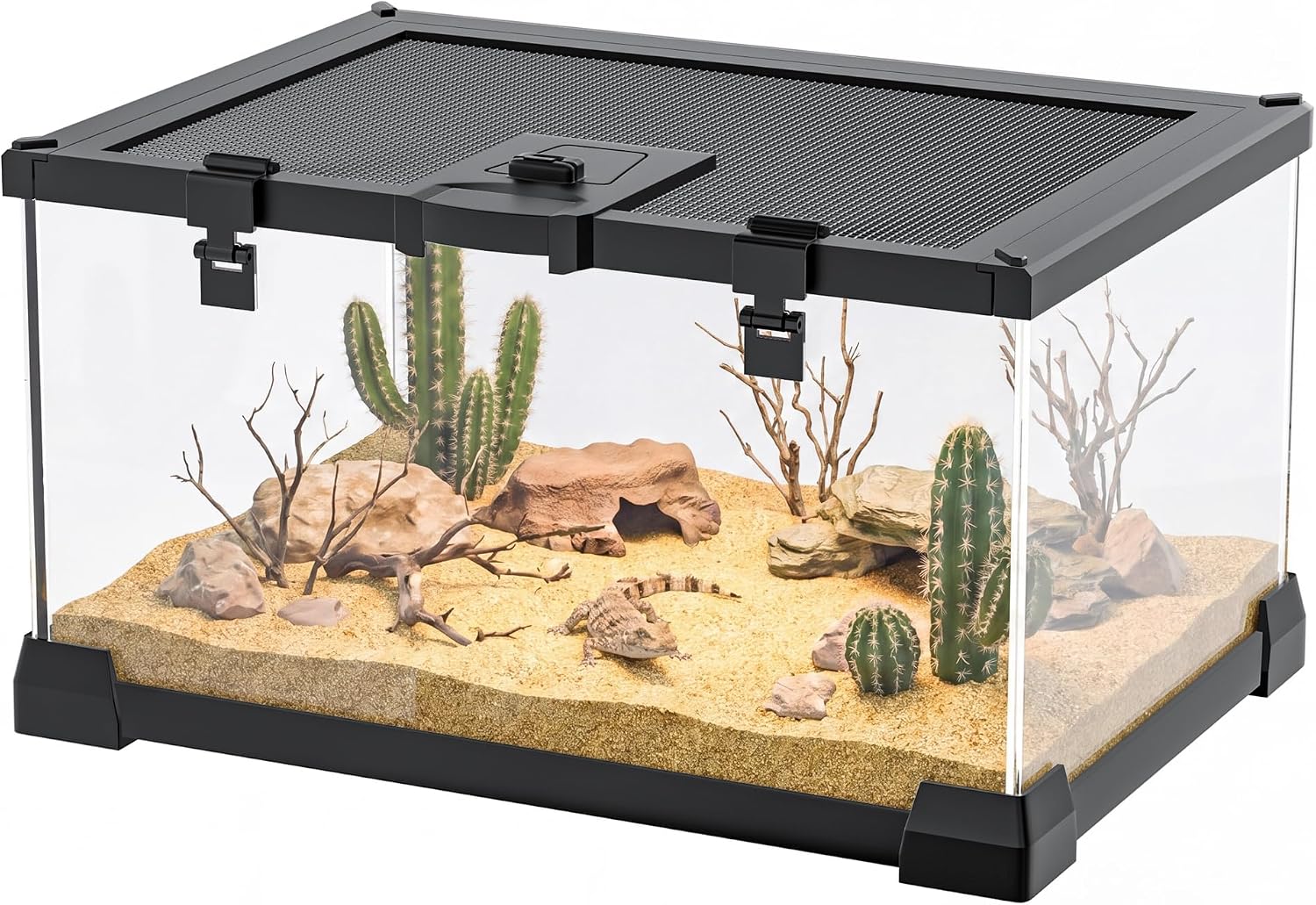 2.5 Gallon Fully Assembled Glass Reptile Enclosure, 12" x 8" x 6" | Small Reptile Terrarium Tank for Tiny Terrestrial Reptiles, Amphibians & Invertebrates