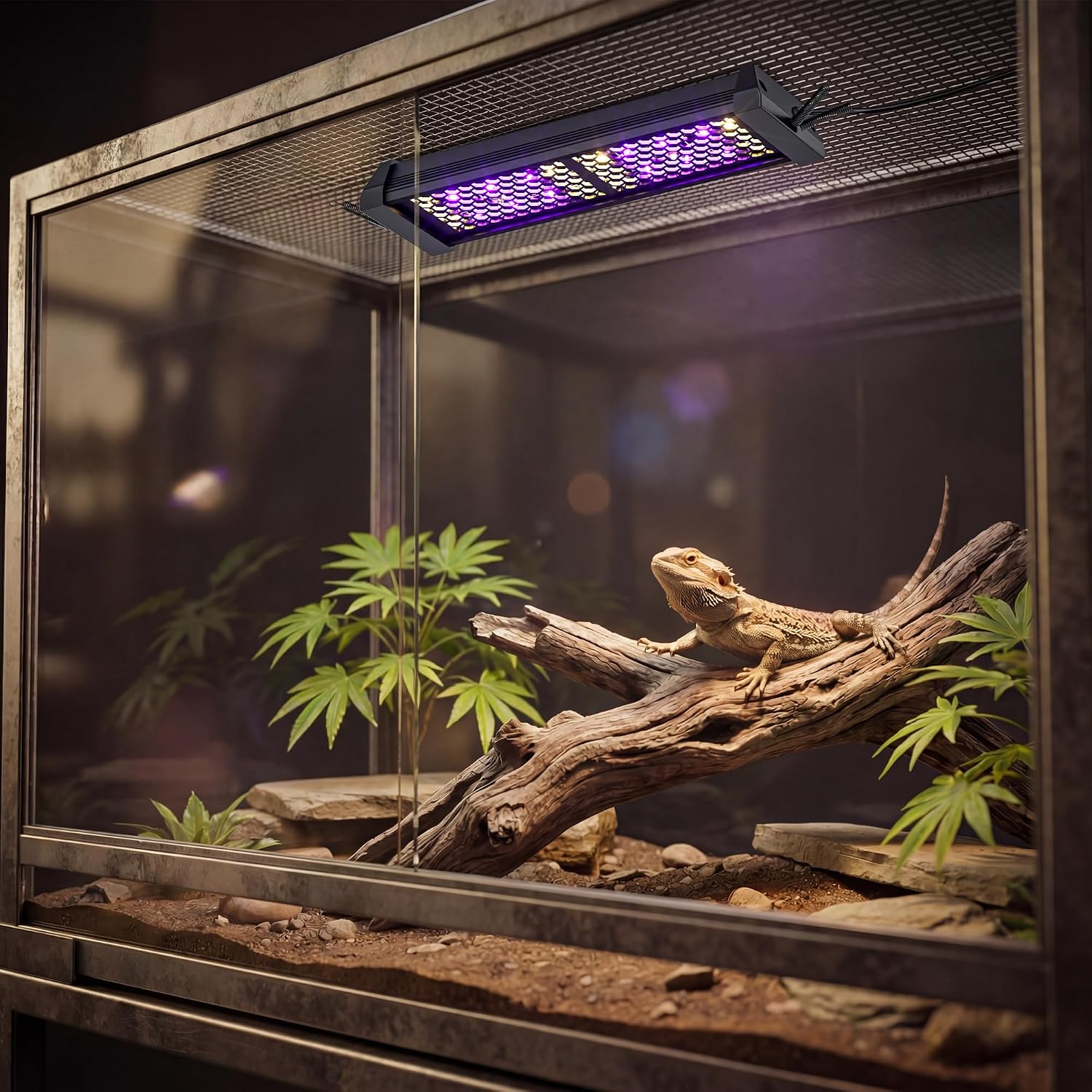LED UVB Reptile Light with Timer & Dimmer (8.5inch) | 8W Full Spectrum UVA UVB Lamp with 3 Lighting Modes,5-Level Dimmable,4/8/12H Cycle Timer,for Bearded Dragon,Gecko,Tortoise thumbnail 2